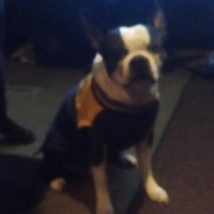 Meet your Posher, Jodie